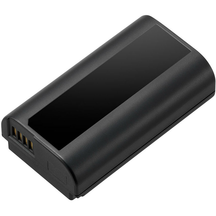 Batterie Panasonic DMW-BLJ31E pour Lumix DC-S1/S1R